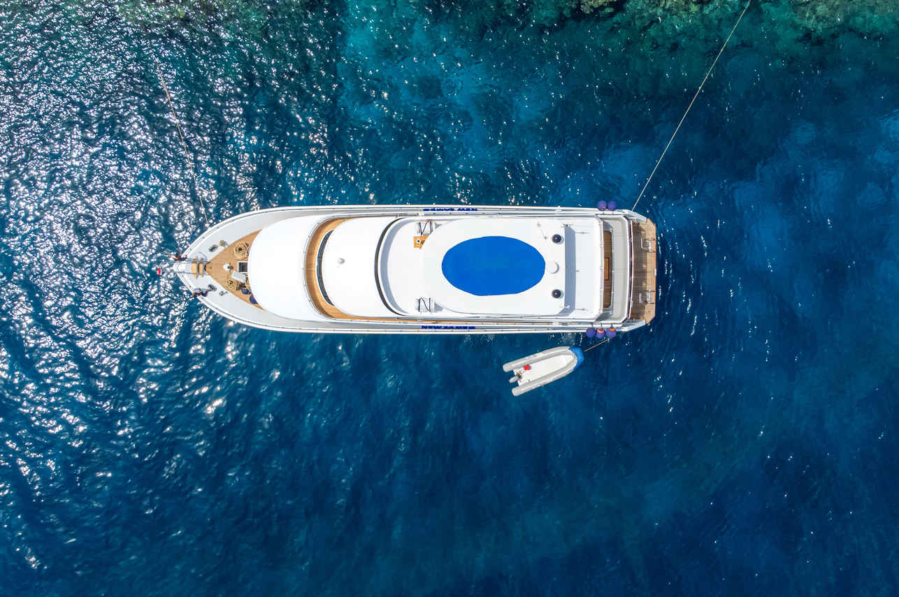 New Sambo Liveaboard