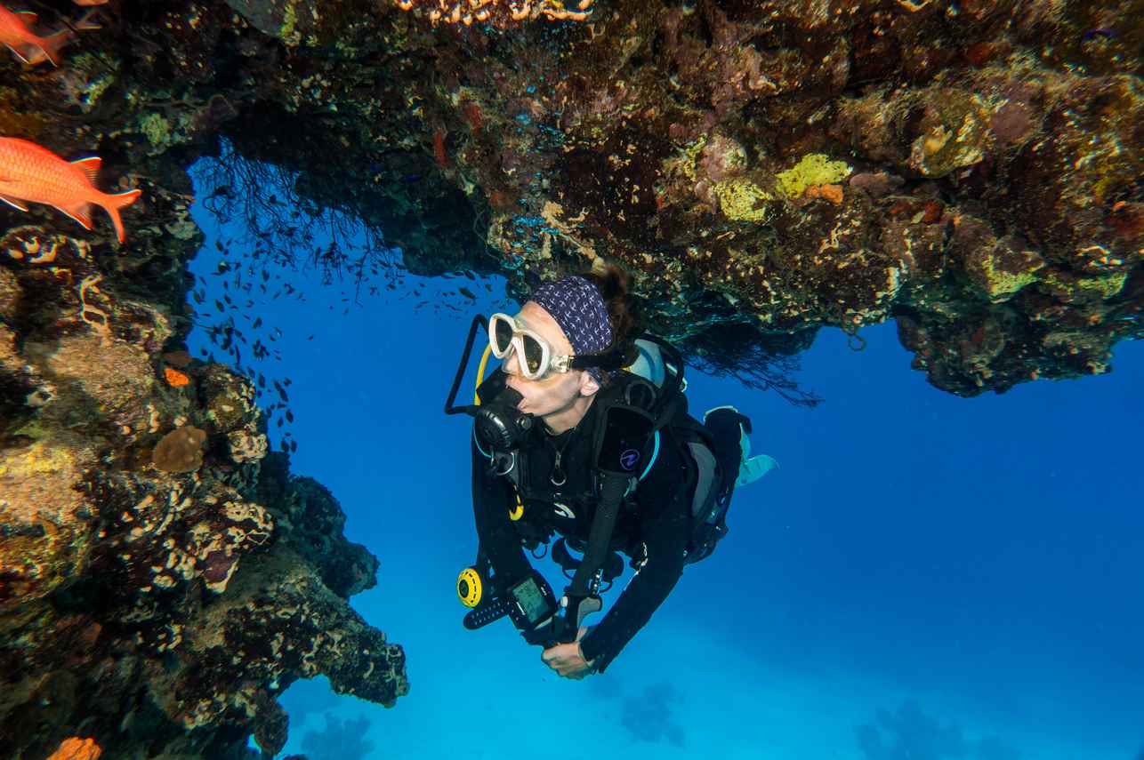 New Sambo Liveaboard Image