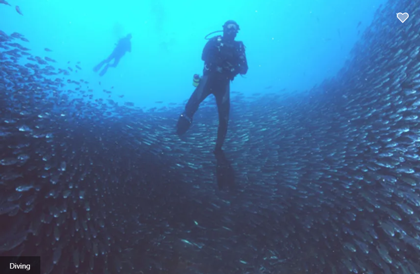 Nortada Liveaboard