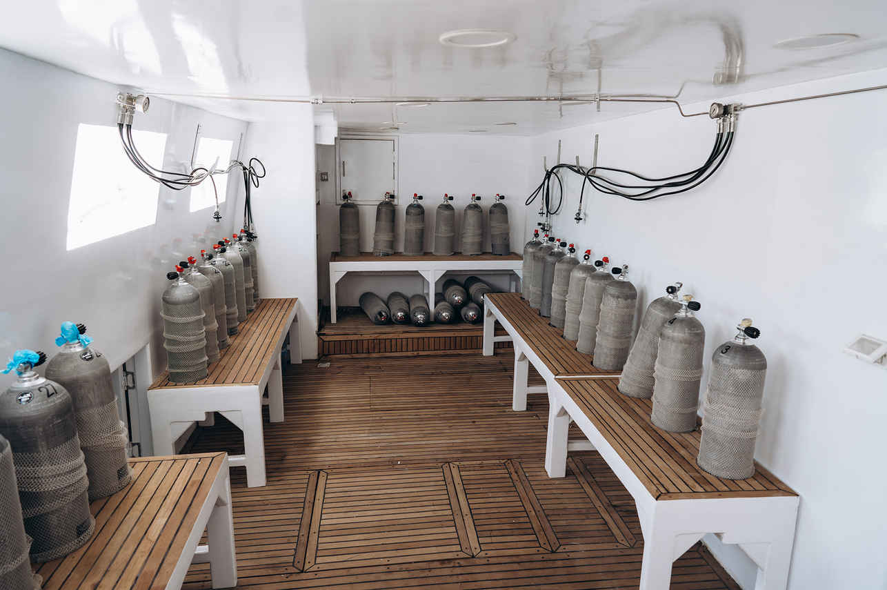Ocean Dream Liveaboard