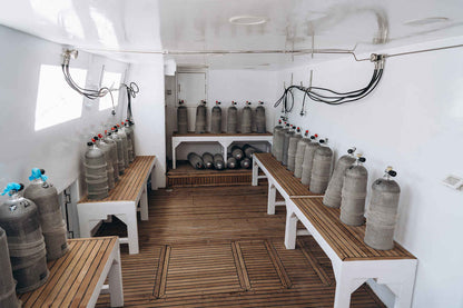 Ocean Dream Liveaboard