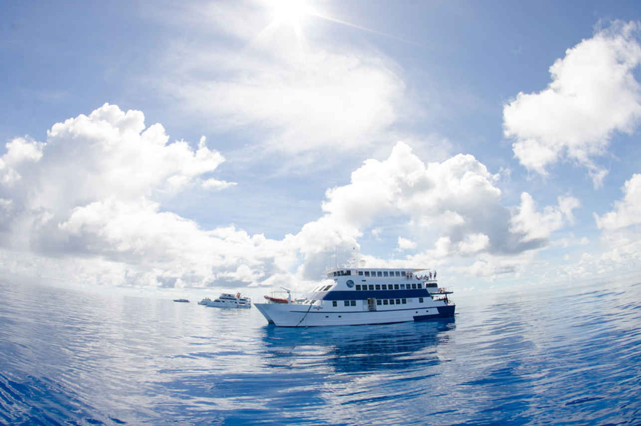 Ocean Quest Liveaboard