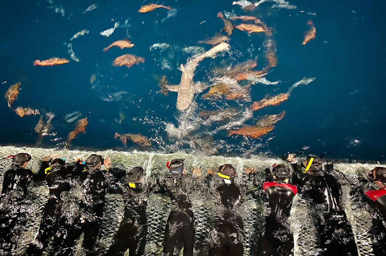 Ocean Quest Liveaboard