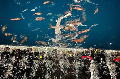 Ocean Quest Liveaboard