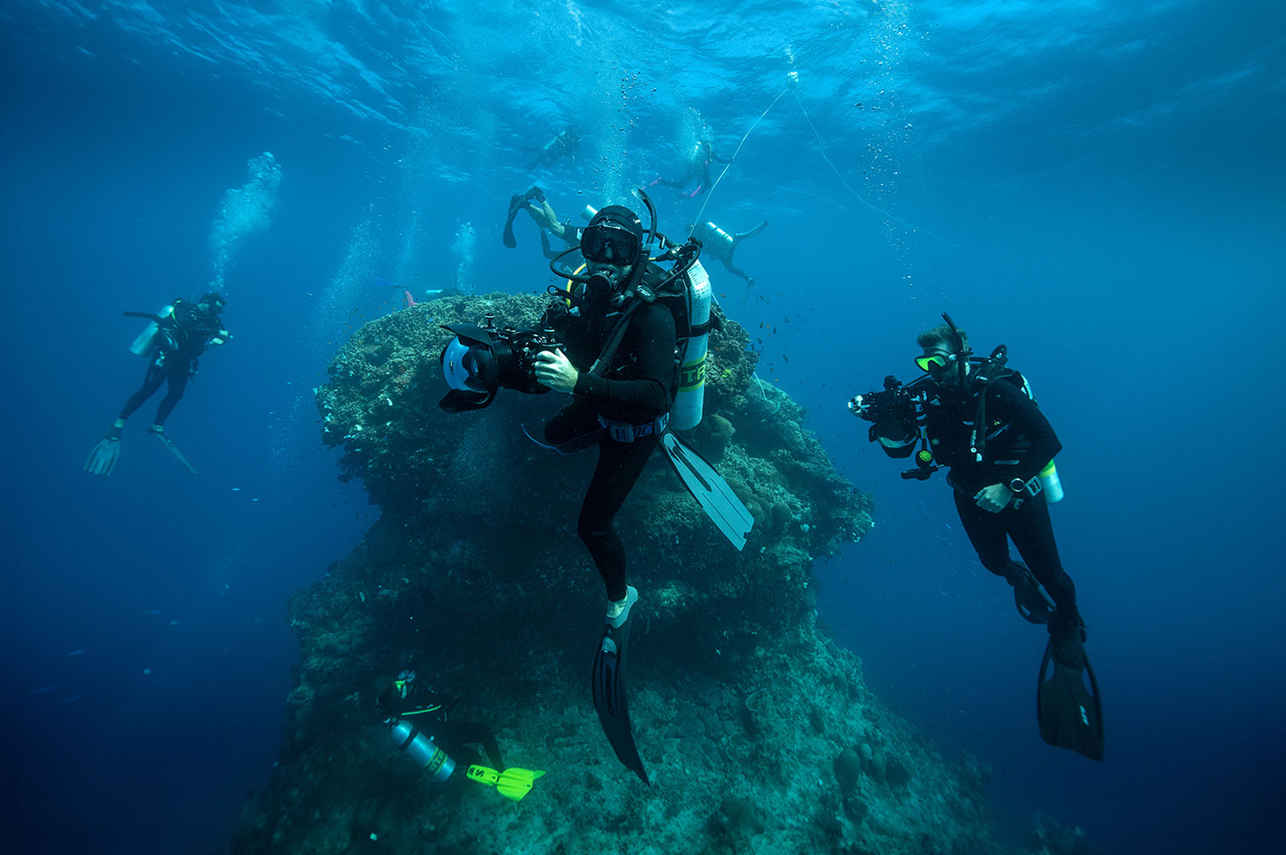 Ocean Quest Liveaboard