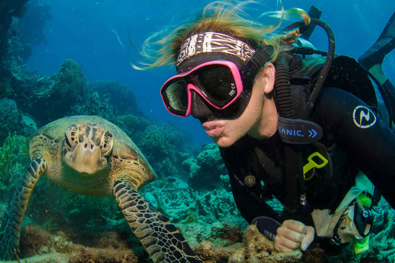 Ocean Quest Liveaboard