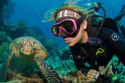 Ocean Quest Liveaboard