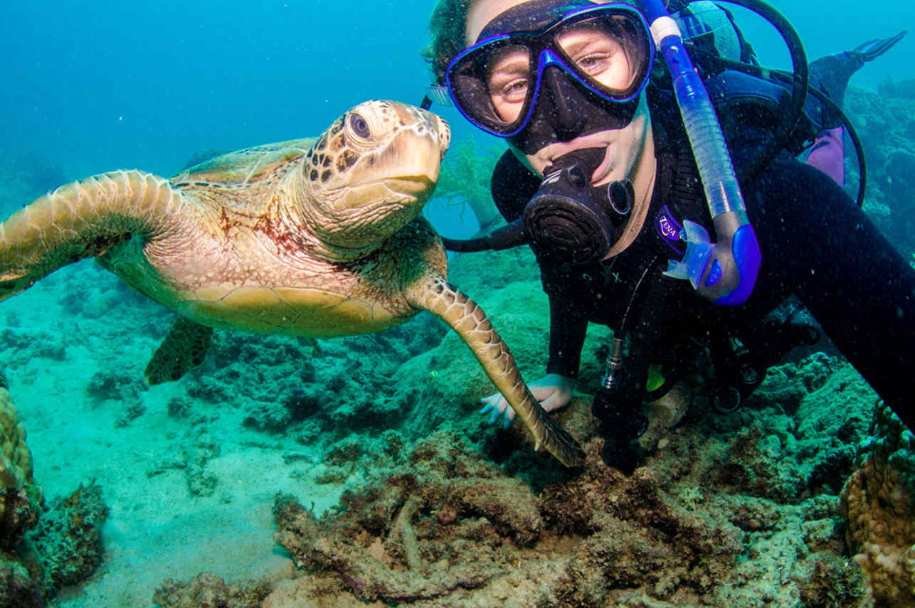 Ocean Quest Liveaboard