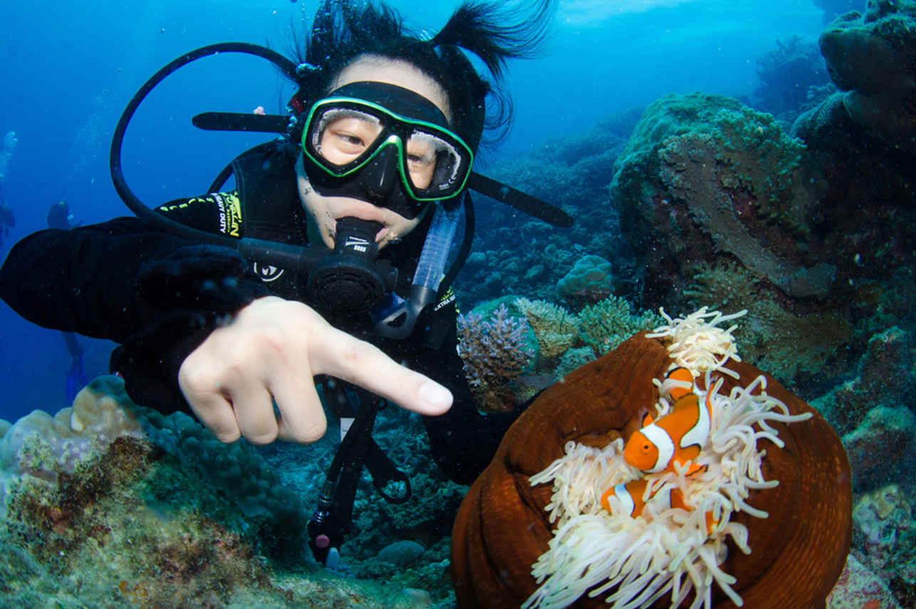 Ocean Quest Liveaboard