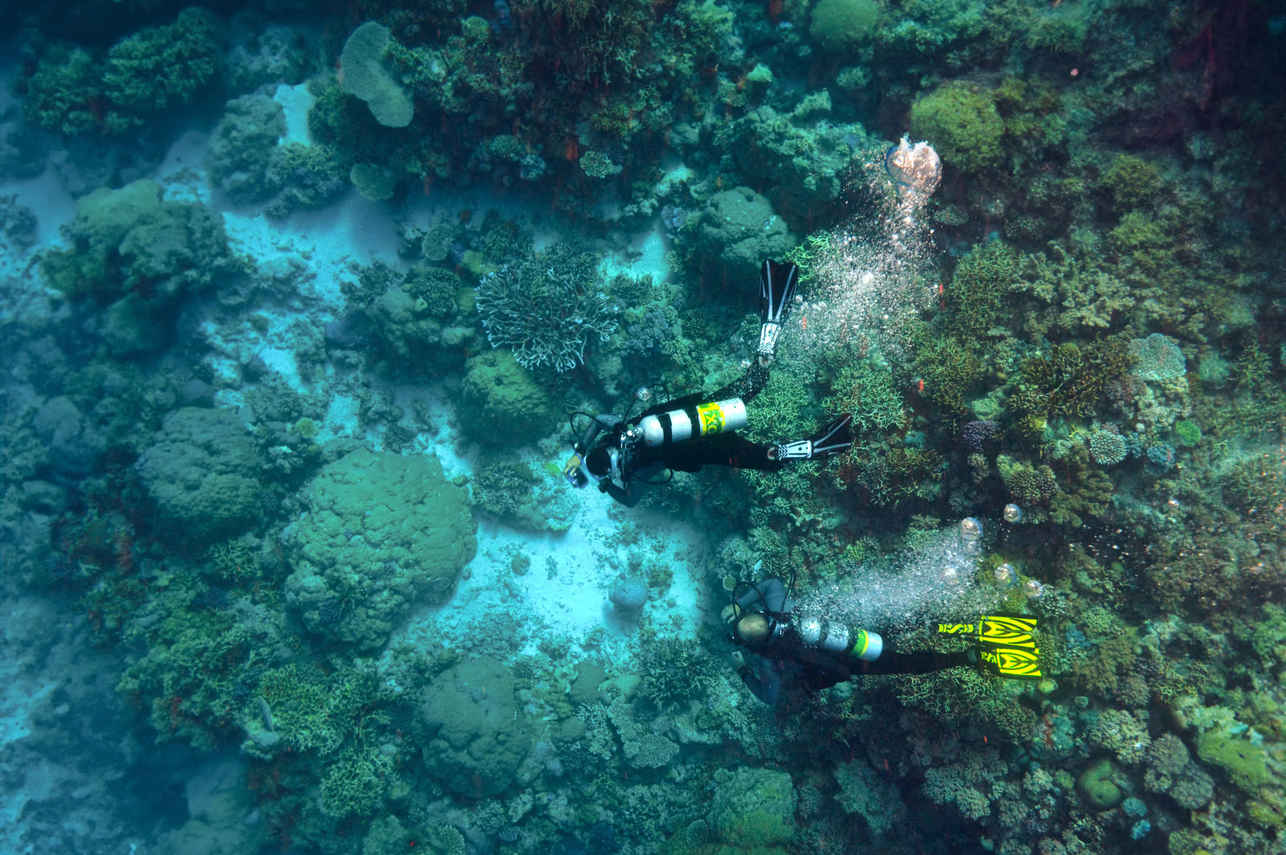 Ocean Quest Liveaboard