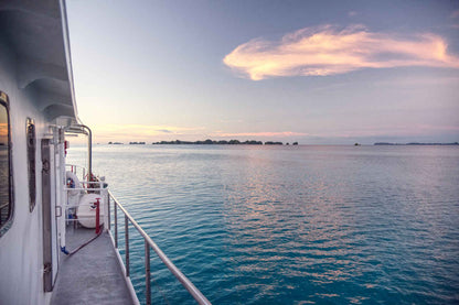 Ocean Hunter 3