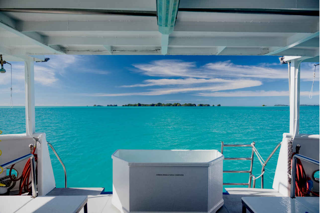 Ocean Hunter 3