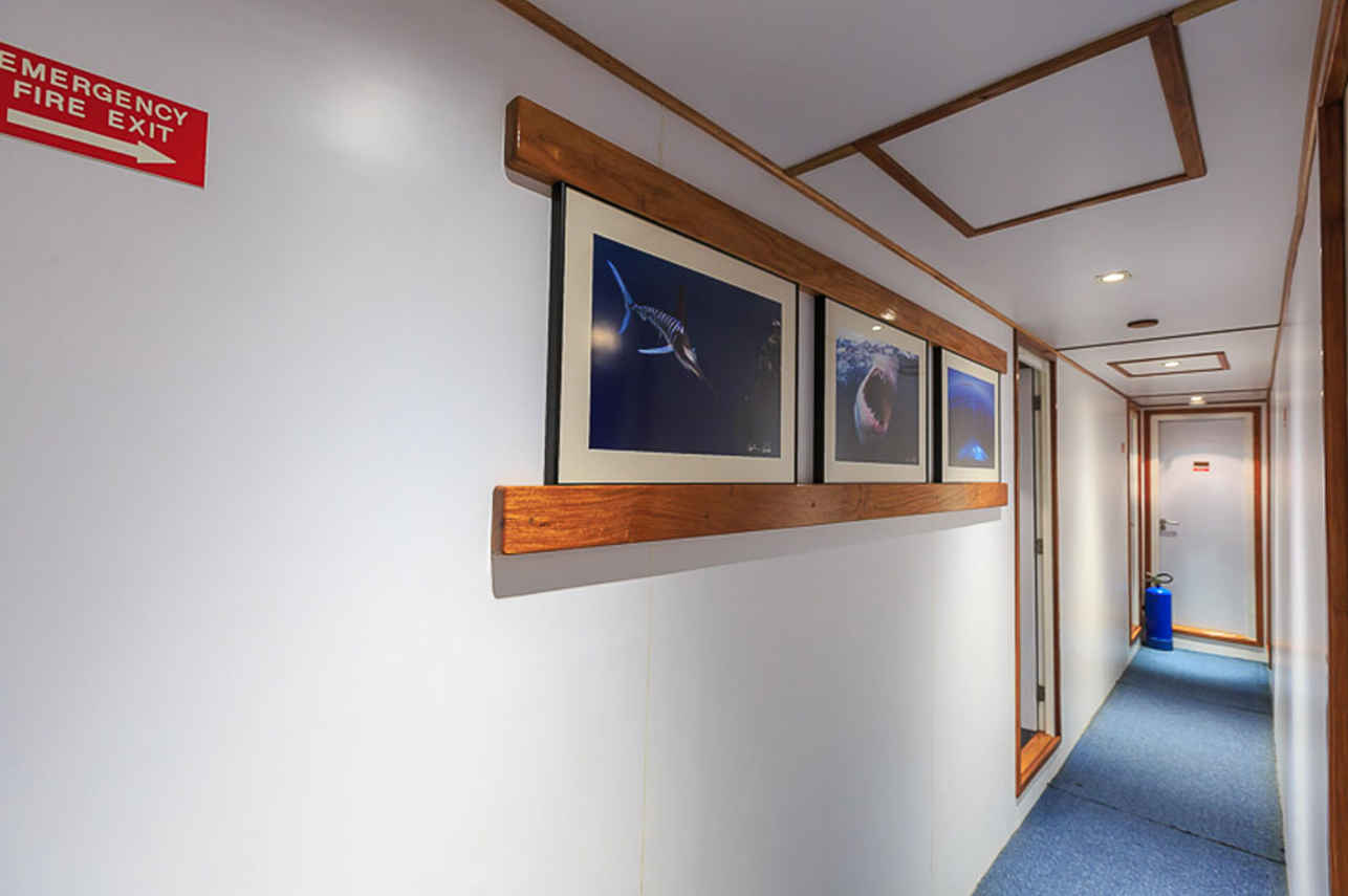 Ocean Hunter 3