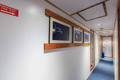 Ocean Hunter 3