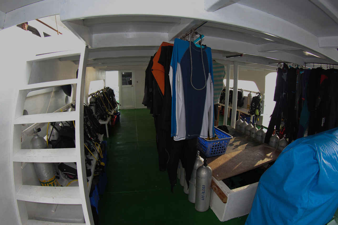 Ocean One Liveaboard