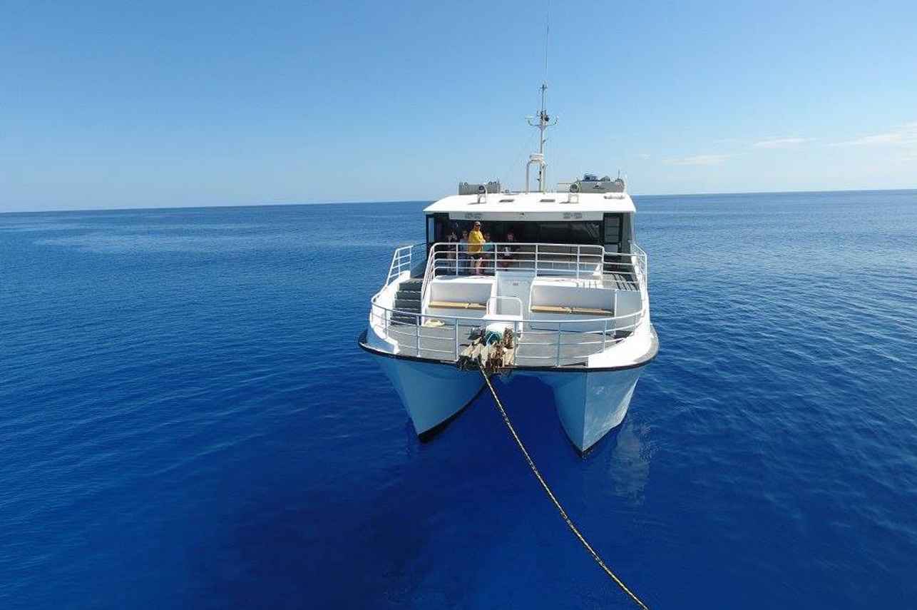 Odyssey Liveaboard