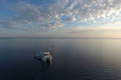 Odyssey Liveaboard