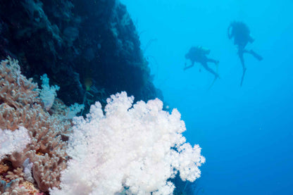 Odyssey Liveaboard