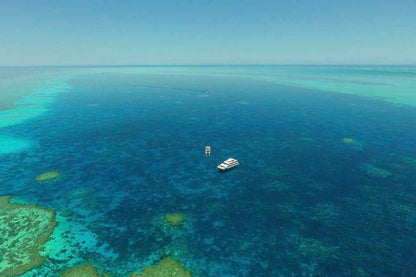 Odyssey Liveaboard