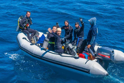 Ondina Liveaboard
