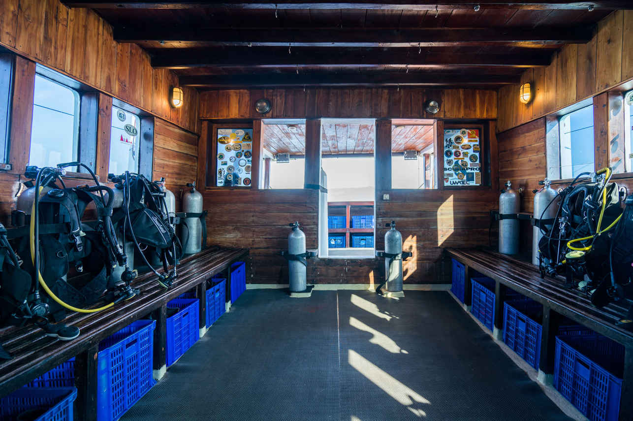 Ondina Liveaboard
