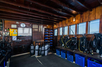 Ondina Liveaboard