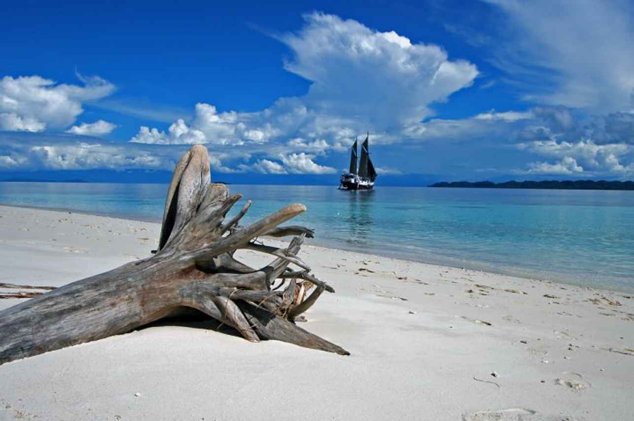 Ondina Liveaboard