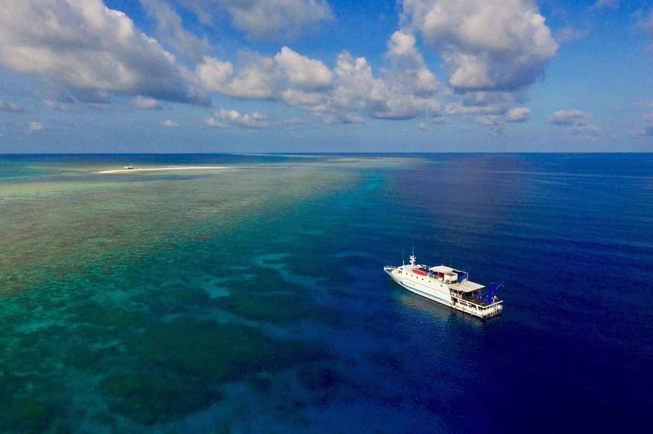Palau Sport Liveaboard