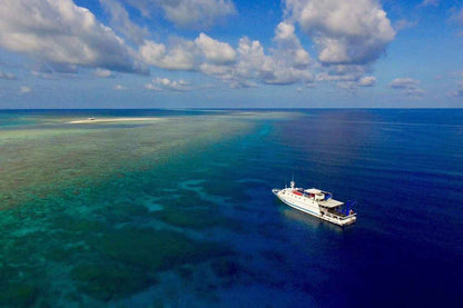 Palau Sport Liveaboard