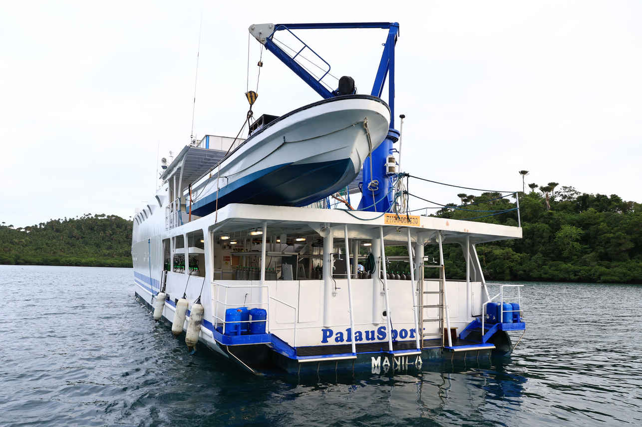 Palau Sport Liveaboard
