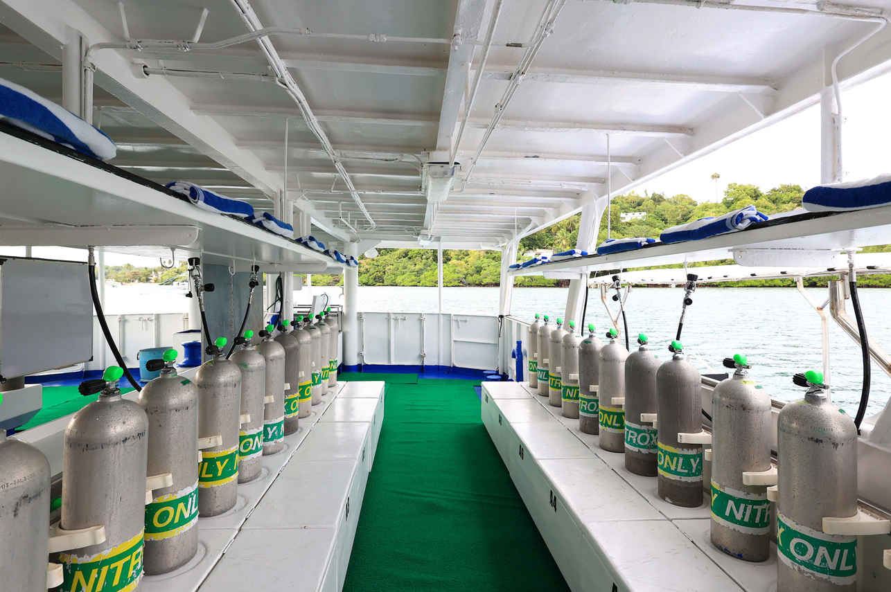 Palau Sport Liveaboard