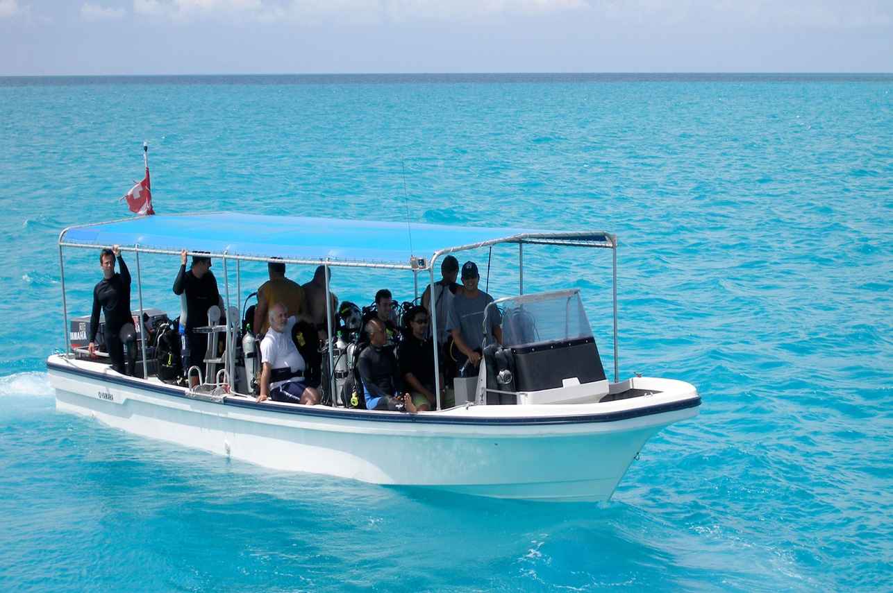 Palau Aggressor II