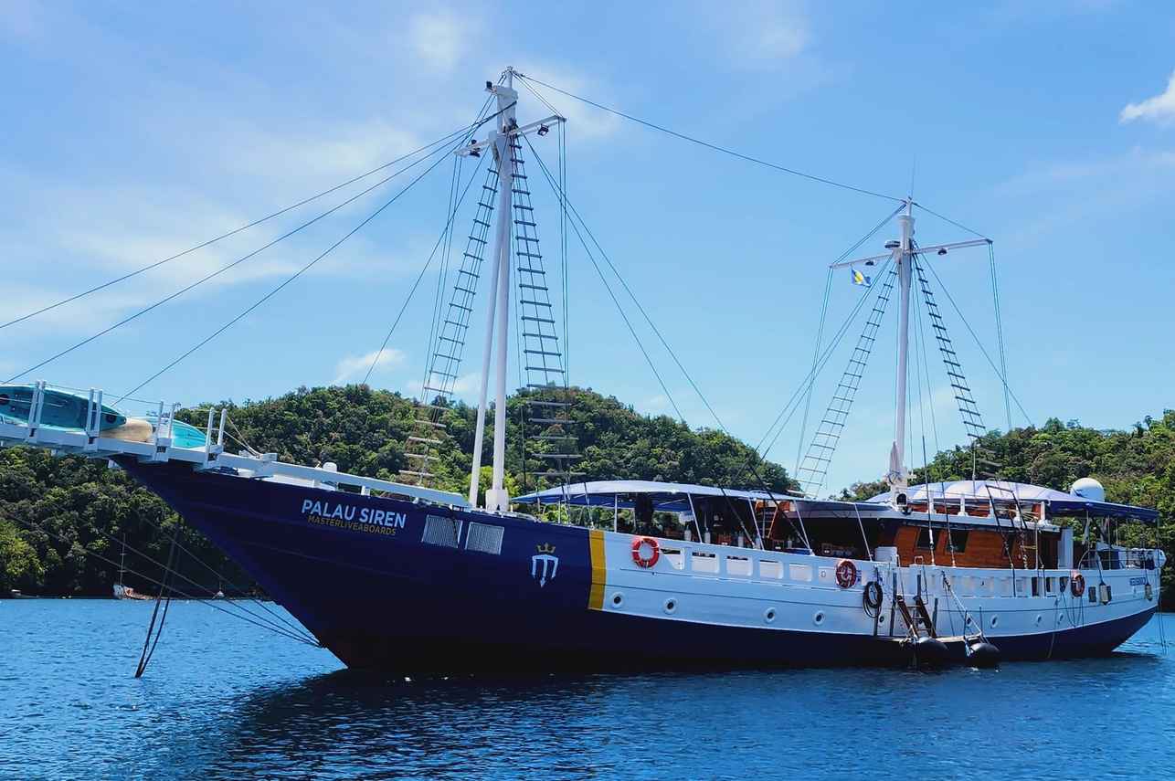 Palau Siren Image