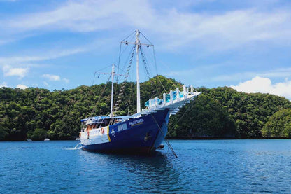 Palau Siren