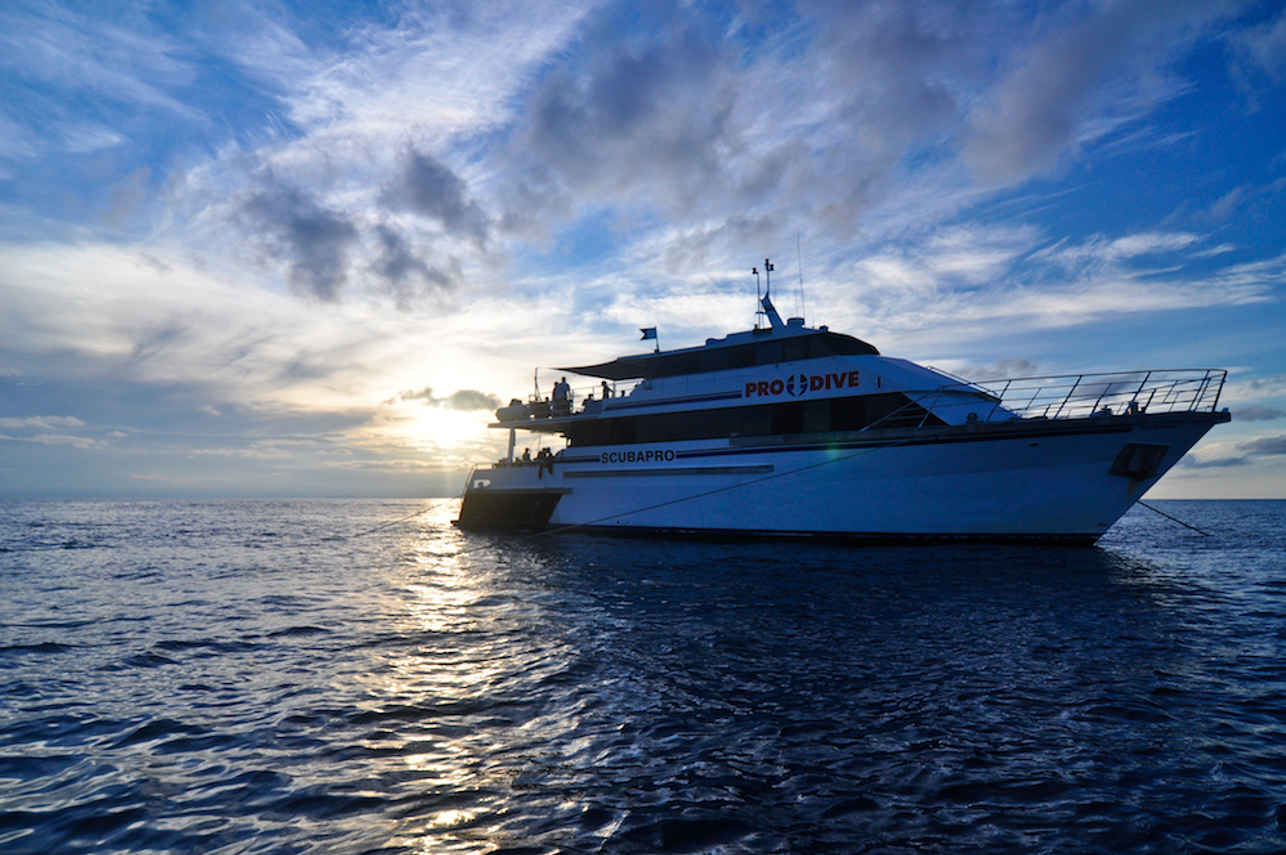 Pro Dive Cairns Image