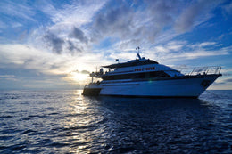 Pro Dive Cairns