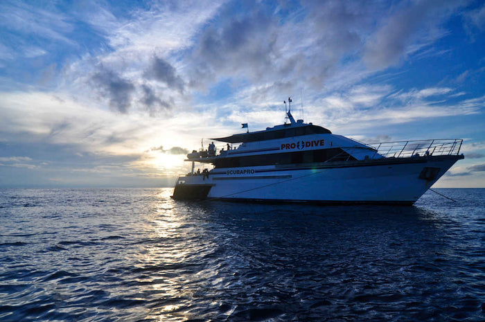 Pro Dive Cairns Liveaboard