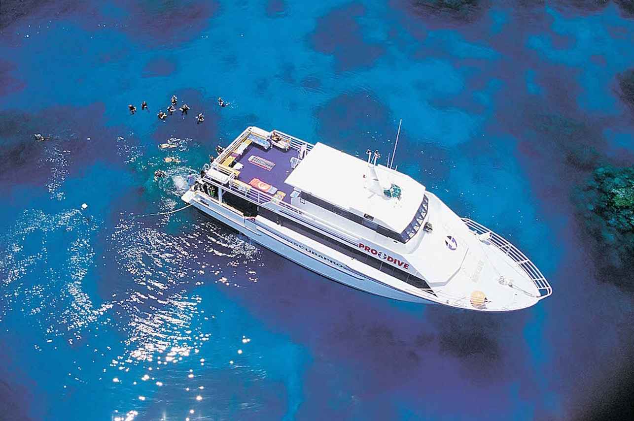 Pro Dive Cairns