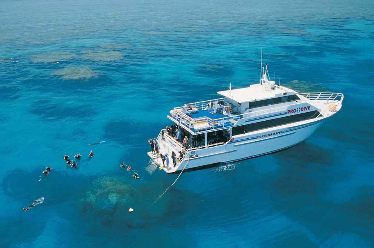Pro Dive Cairns