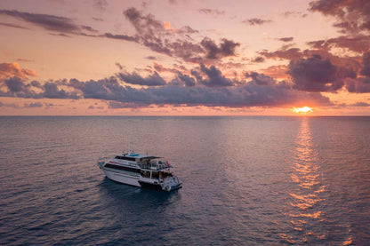 Pro Dive Cairns