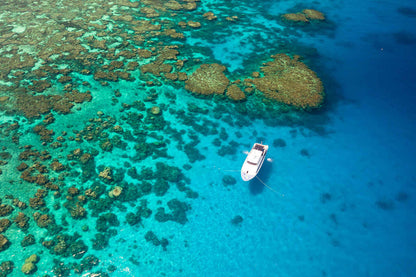 Pro Dive Cairns
