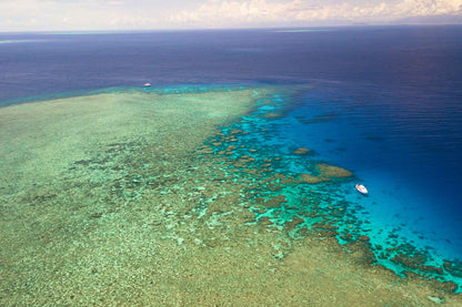 Pro Dive Cairns