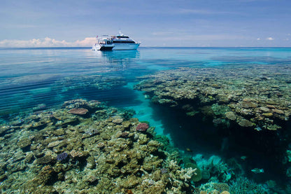 Pro Dive Cairns