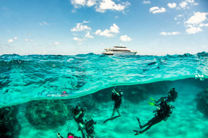Pro Dive Cairns