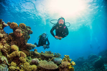 Pro Dive Cairns
