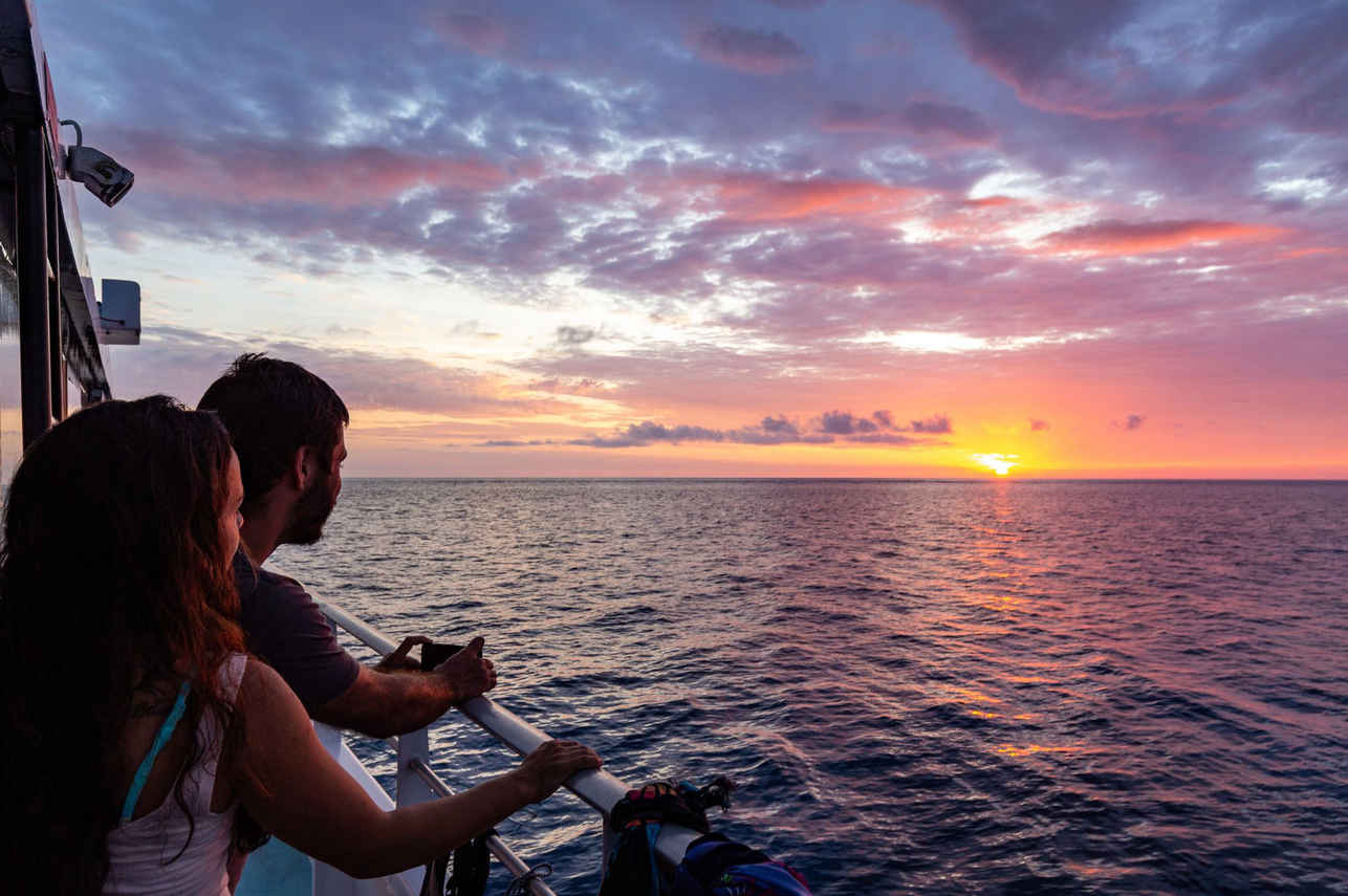 Pro Dive Cairns