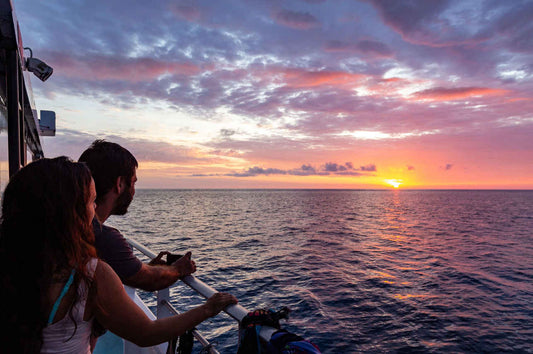 Pro Dive Cairns