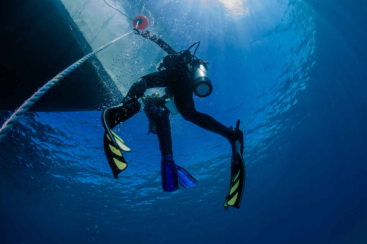 Pro Dive Cairns