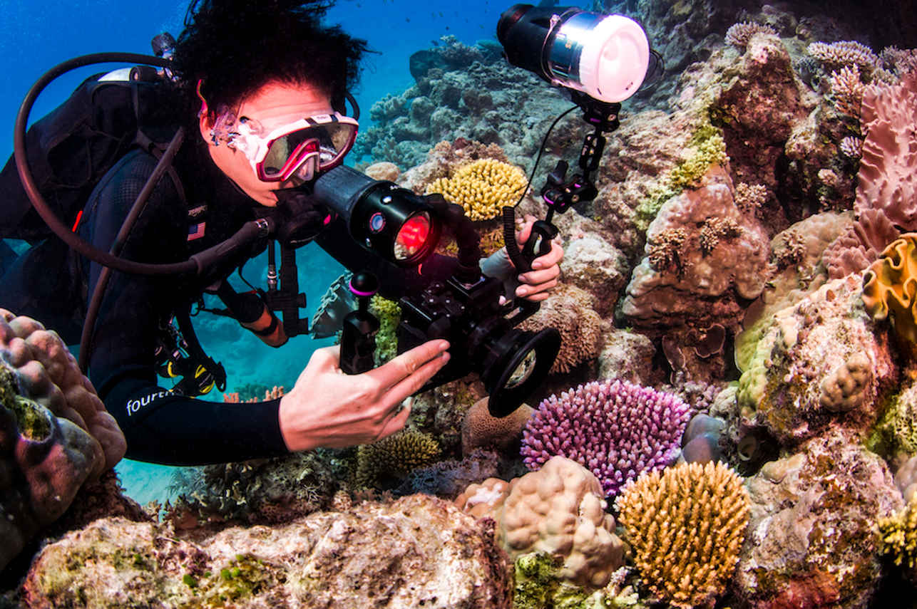 Pro Dive Cairns