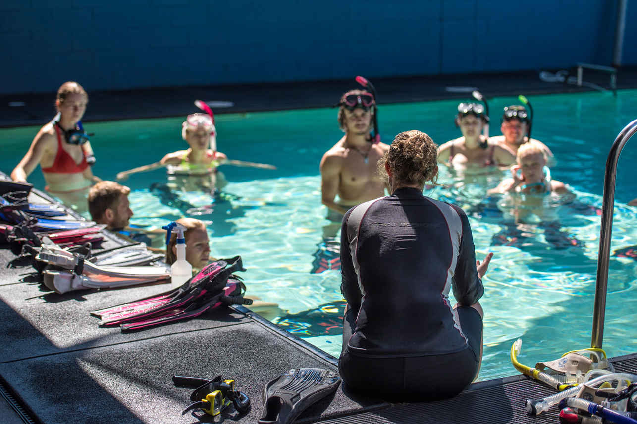 Pro Dive Cairns
